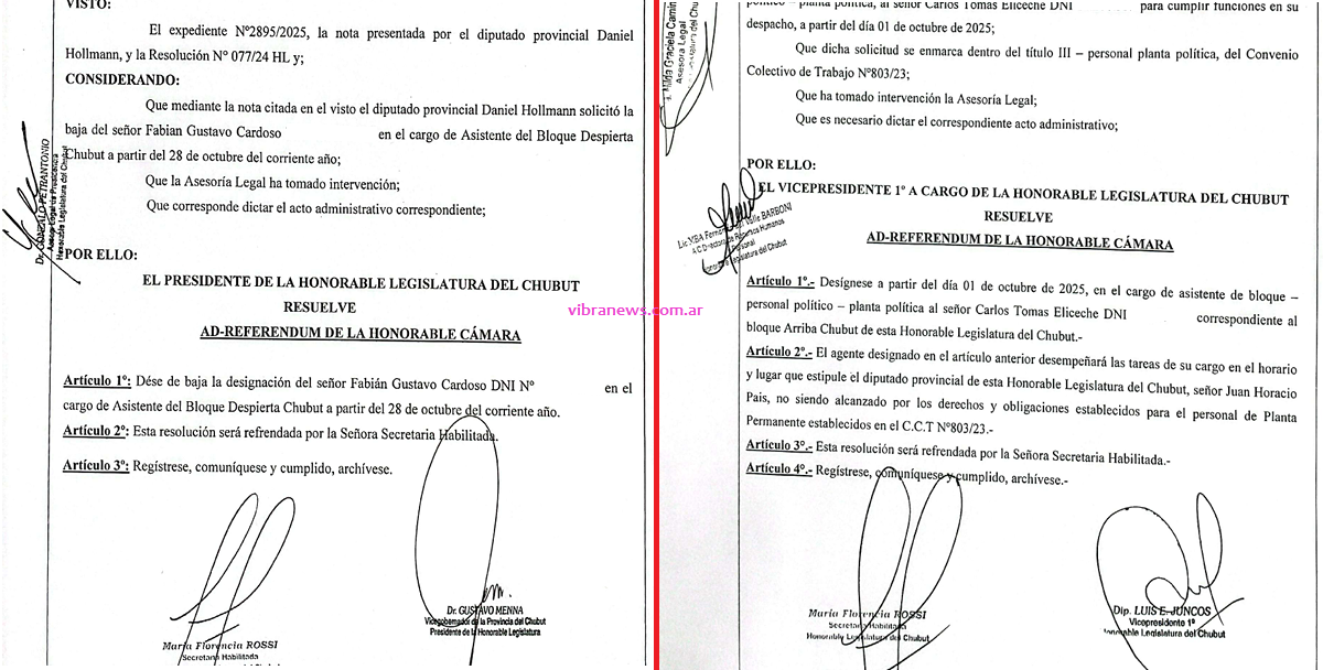 asesores legislatura